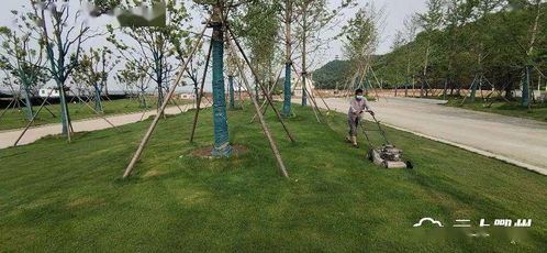 鄂州首個水上植物園即將開園，配套大橋與園林綠化工程全面提升生態(tài)景觀