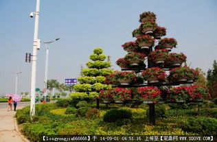 園林綠化工程中的核心要素 從設計圖紙到實景呈現(xiàn)的完整解析